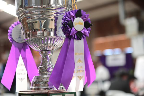 Meet The Champions - Hill District Grandstand